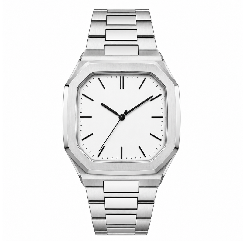 Arden Frost Steel Watch